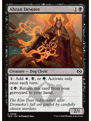 Abzan Devotee | Español | NM | TDM