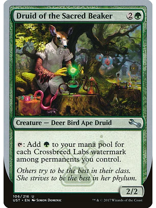 Druid of the Sacred Beaker | Inglés | NM | UST