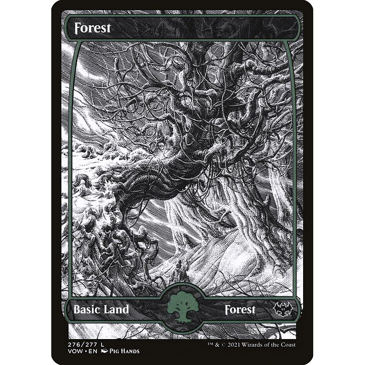 Forest (Showcase) | Inglés | NM | VOW 1