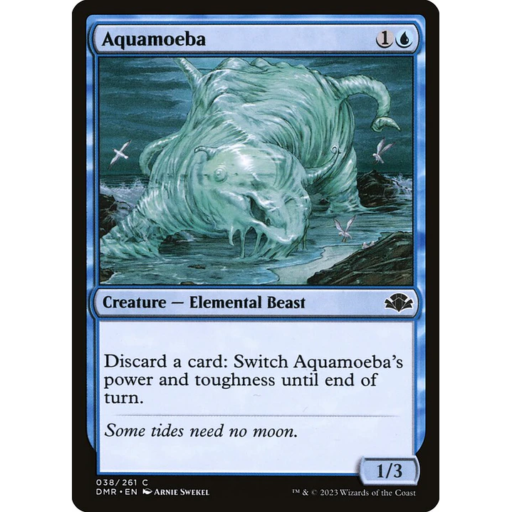 Aquamoeba | Inglés | NM | DMR 1