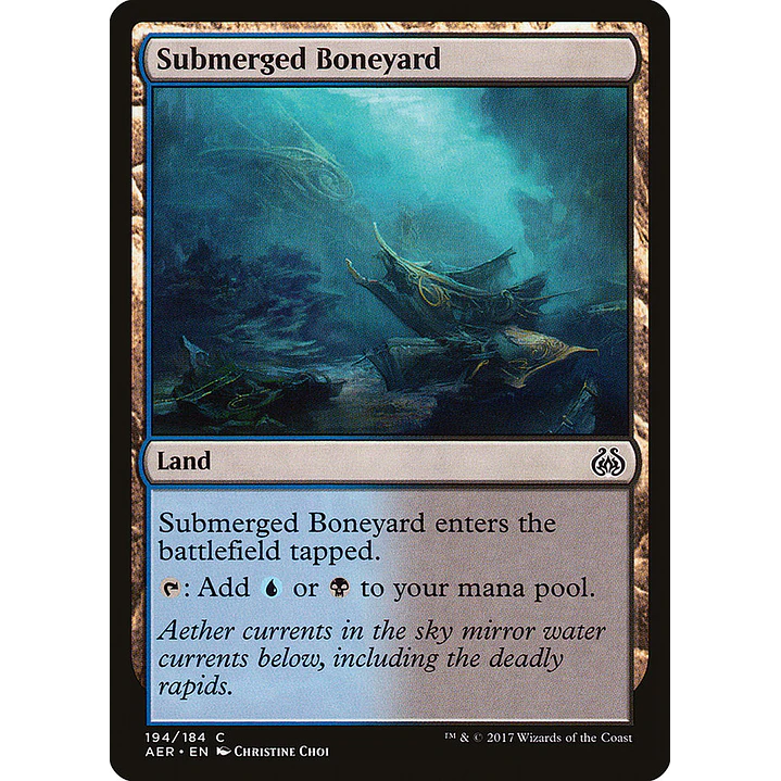 Submerged Boneyard | Español | NM | AER 1