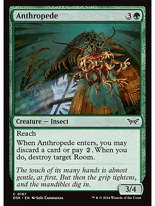 Anthropede | Inglés | NM | DSK