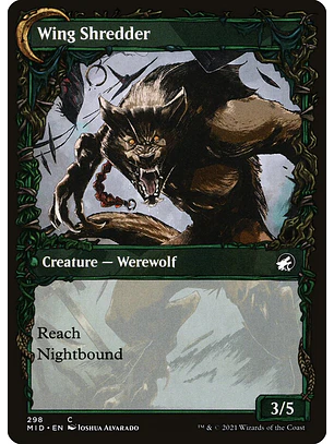 Bird Admirer // Wing Shredder (Showcase) | Inglés | NM | MID