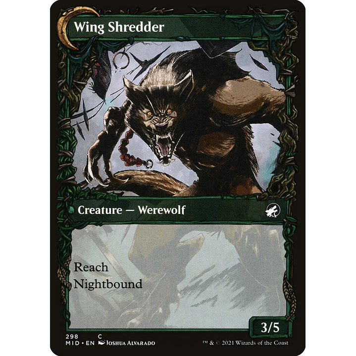 Bird Admirer // Wing Shredder (Showcase) | Inglés | NM | MID 2