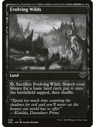 Evolving Wilds | Inglés | NM | DBL