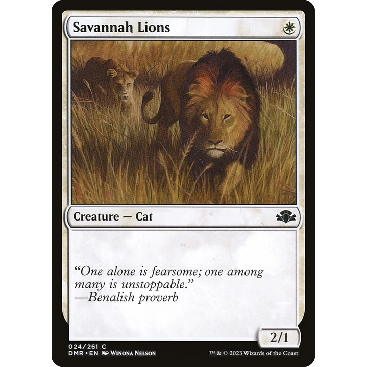 Savannah Lions | Inglés | NM | DMR 1