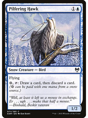 Pilfering Hawk | Inglés | NM | KHM