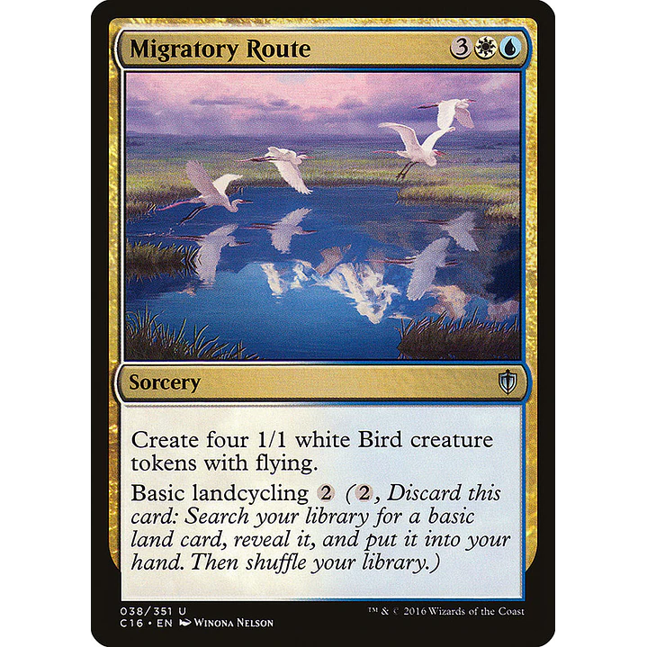 Migratory Route | Inglés | NM | C16 1