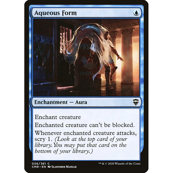 Aqueous Form | Inglés | NM | CMR 1