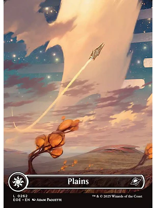 Plains (Borderless) | Inglés | NM | EOE