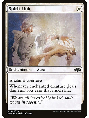 Spirit Link | Inglés | NM | DMR