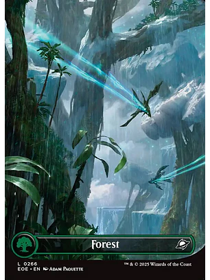 Forest (Borderless) | Inglés | NM | EOE