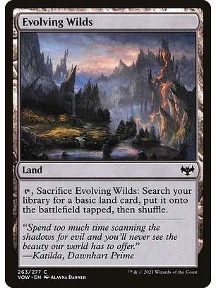 Evolving Wilds | Inglés | NM | VOW