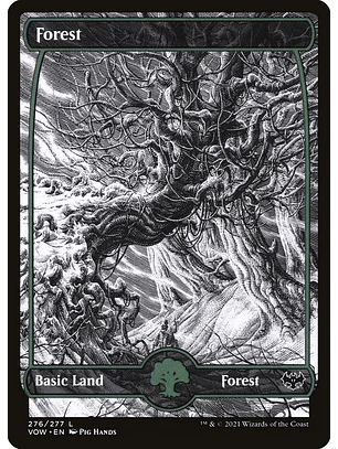 Forest (Showcase foil) | Inglés | NM | VOW