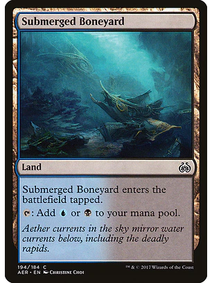 Submerged Boneyard | Inglés | NM | AER