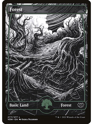 Forest (Showcase) | Inglés | NM | VOW