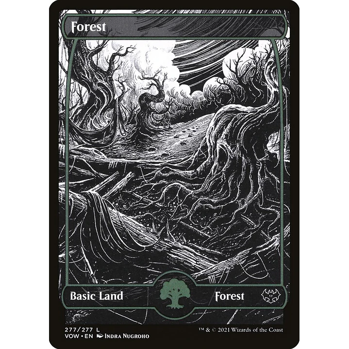 Forest (Showcase) | Inglés | NM | VOW 1