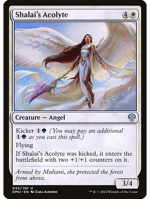 Shalai's Acolyte (foil) | Inglés | NM | DMU