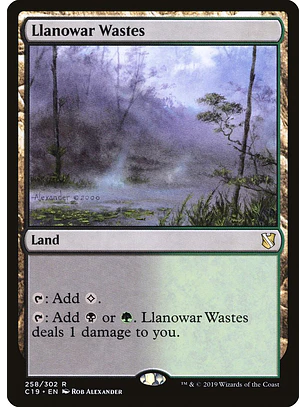 Llanowar Wastes | Inglés | NM | C19