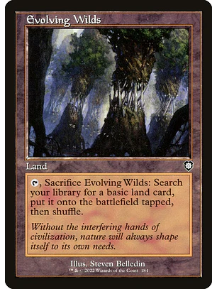Evolving Wilds (Retro Frame) | Inglés | NM | BRC