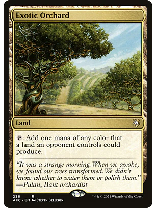 Exotic Orchard | Inglés | NM | AFC