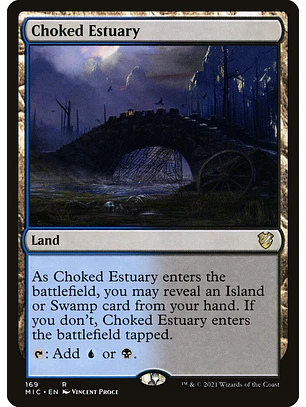 Choked Estuary | Inglés | NM | MIC