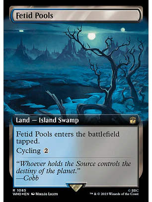 Fetid Pools (Extended Art foil) | Inglés | NM | WHO