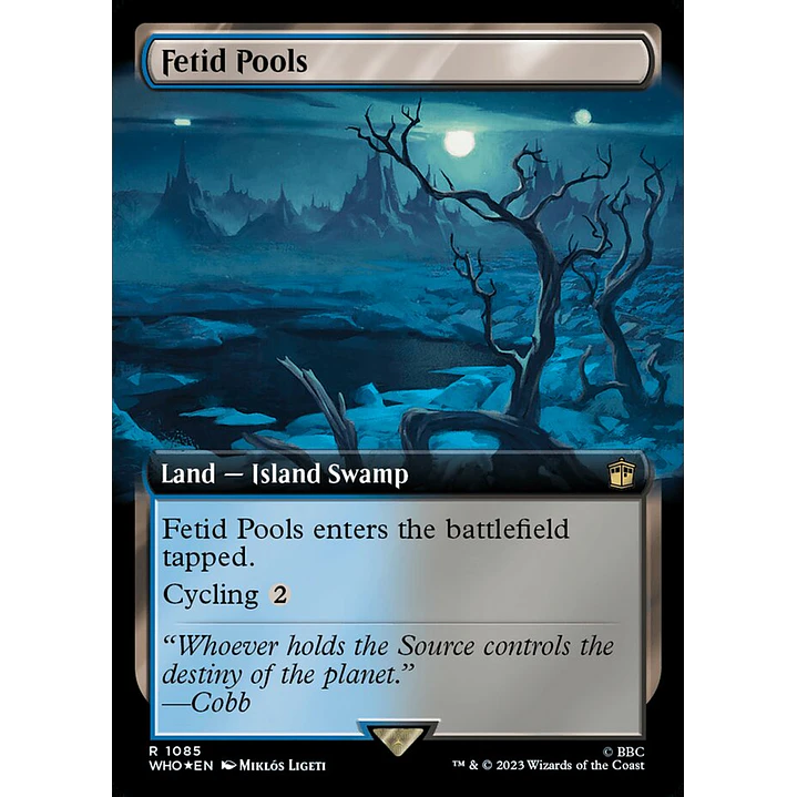 Fetid Pools (Extended Art foil) | Inglés | NM | WHO 1