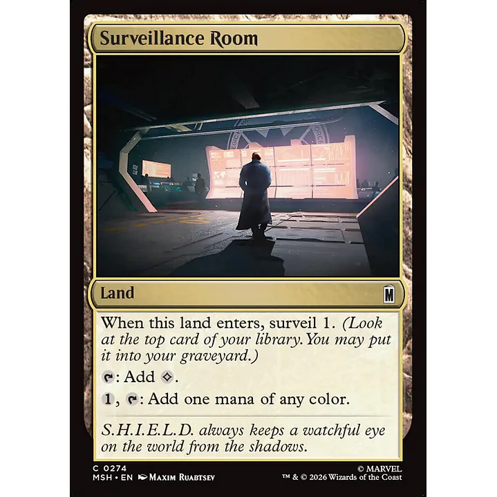 Surveillance Room | Español | NM | MSH 1