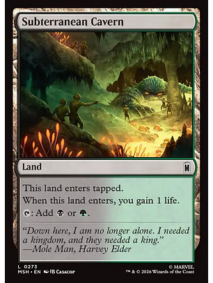 Subterranean Cavern (foil) | Español | NM | MSH