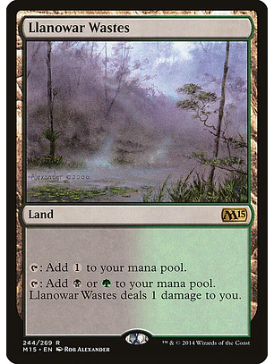 Llanowar Wastes | Inglés | NM | M15