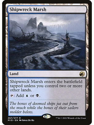 Shipwreck Marsh | Inglés | NM | MID