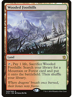Wooded Foothills | Español | NM | KTK