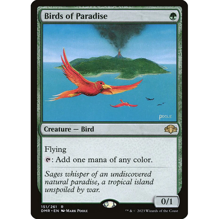 Birds of Paradise | Inglés | NM | DMR 1