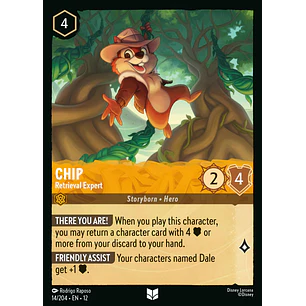 014/204 Chip - Retrieval Expert