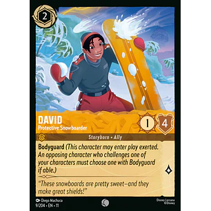 009/204 David - Protective Snowboarder