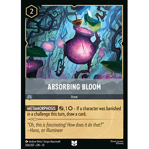 206/204 Absorbing Bloom