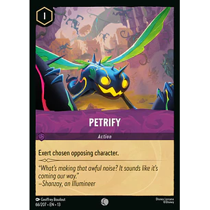 066/204 Petrify