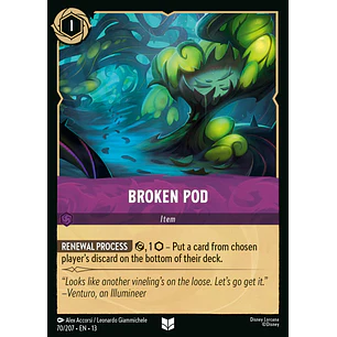 070/204 Broken Pod