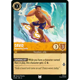 008/204 David - Impressive Surfer