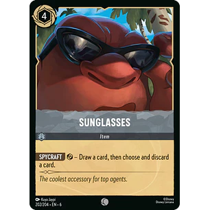 202/204 Sunglasses