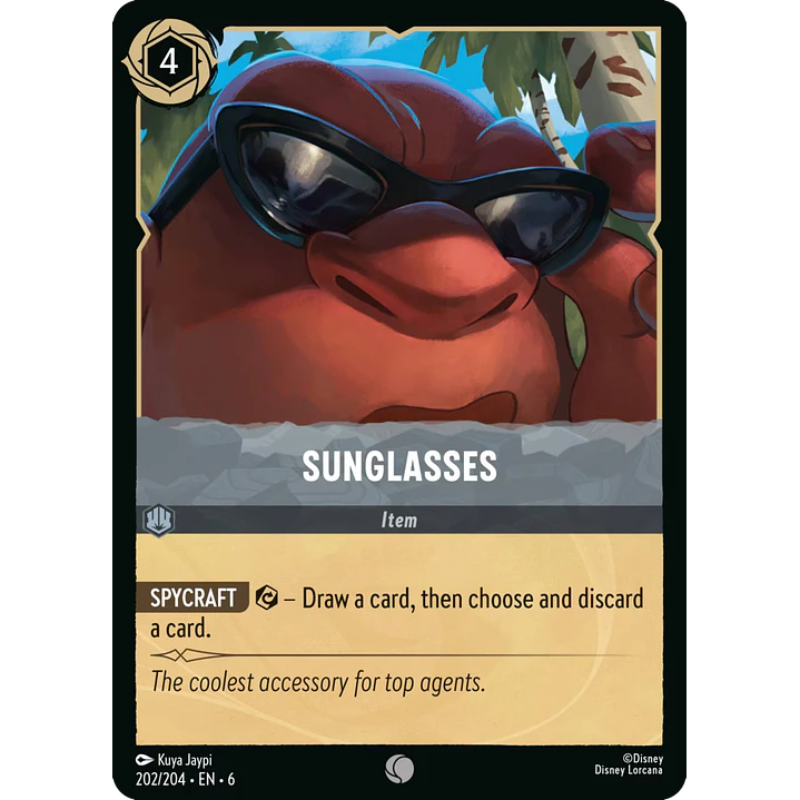 202/204 Sunglasses 1