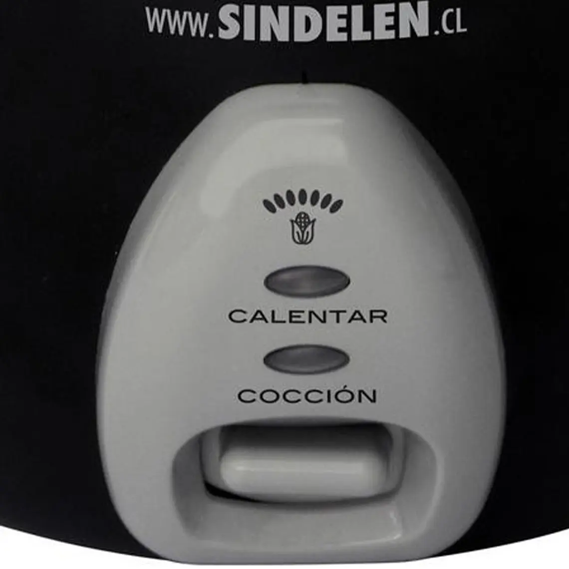 Olla Arrocera Multifunción Sindelen 0A-400 MASTERCOOKER 5
