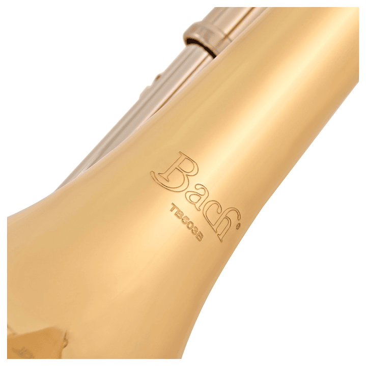 Trombon Bb/F Bach TB503B 2