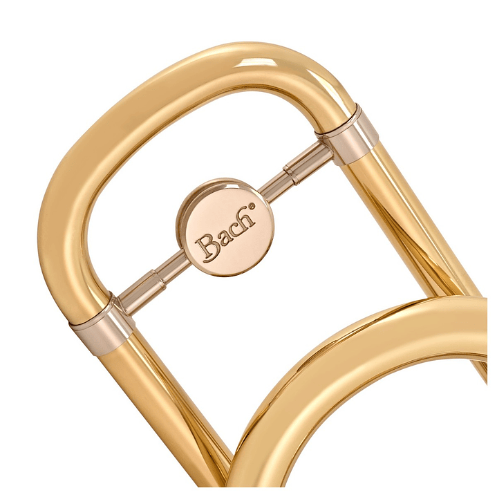 Trombon Bb/F Bach TB503B 3