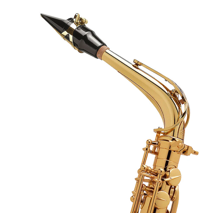 Saxo alto Selmer Paris SA80 Serie II Gold lacquer 2