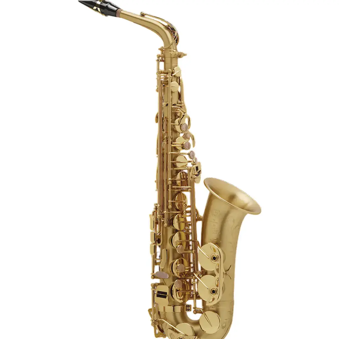 Saxo alto Selmer Paris SA80 Serie II Gold brushed 1