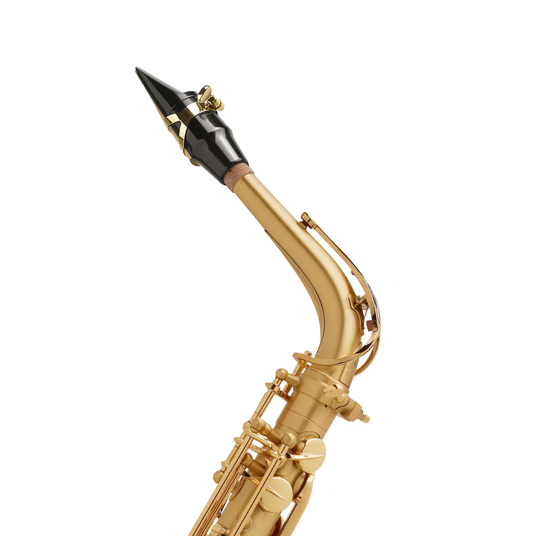 Saxo alto Selmer Paris SA80 Serie II Gold brushed 2