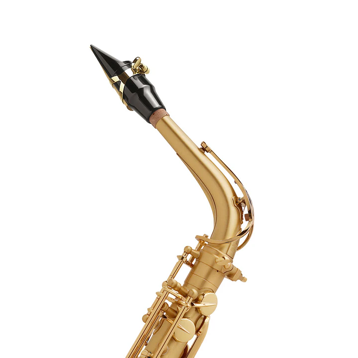 Saxo alto Selmer Paris SA80 Serie II Gold brushed 2