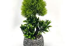 Planta Artificial Bonsai Hoja Boj 28cm 
